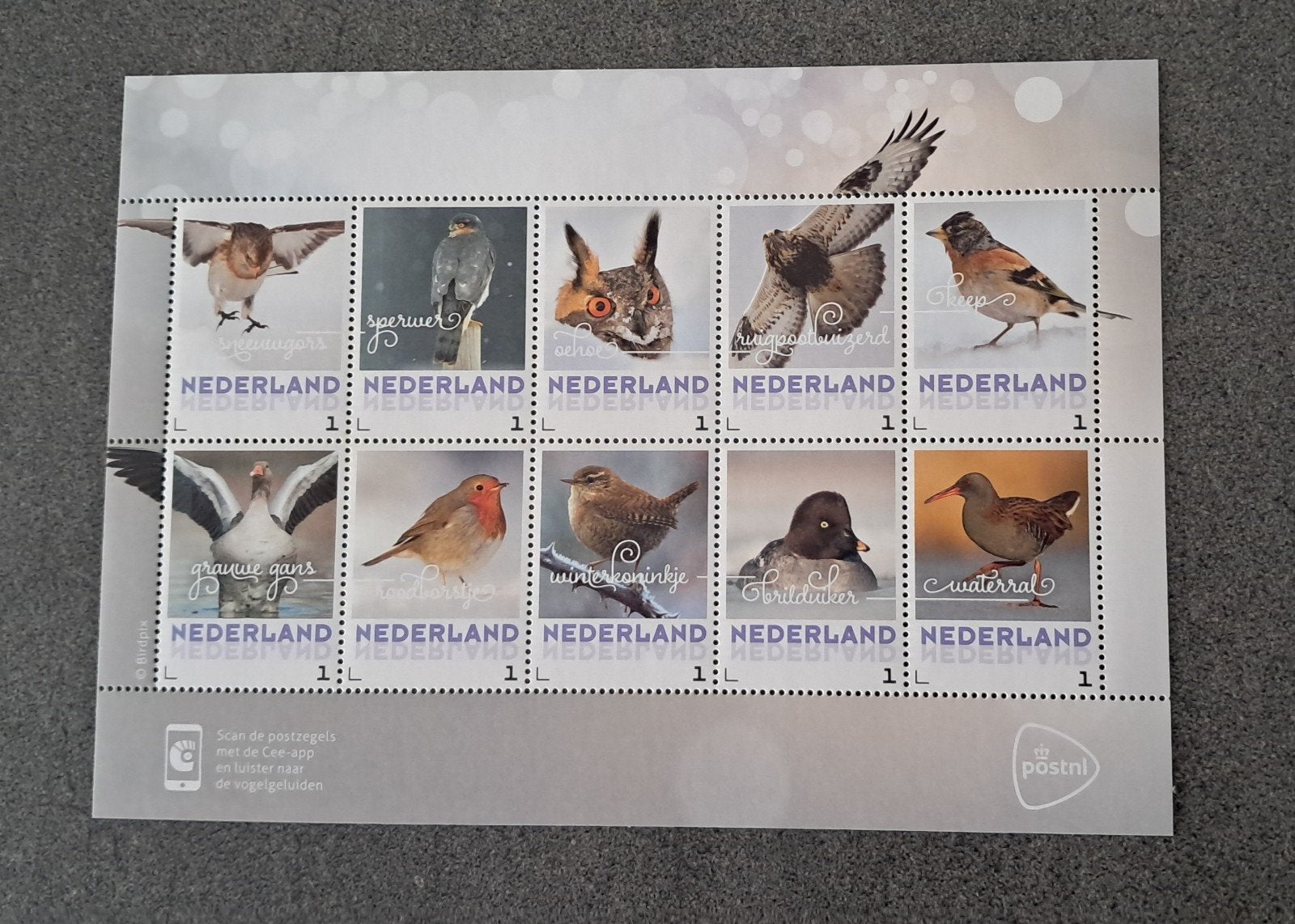 2017- postzegelvel wintervogels - postfris, Postzegels en Munten, Ophalen of Verzenden, Na 1940, Postfris