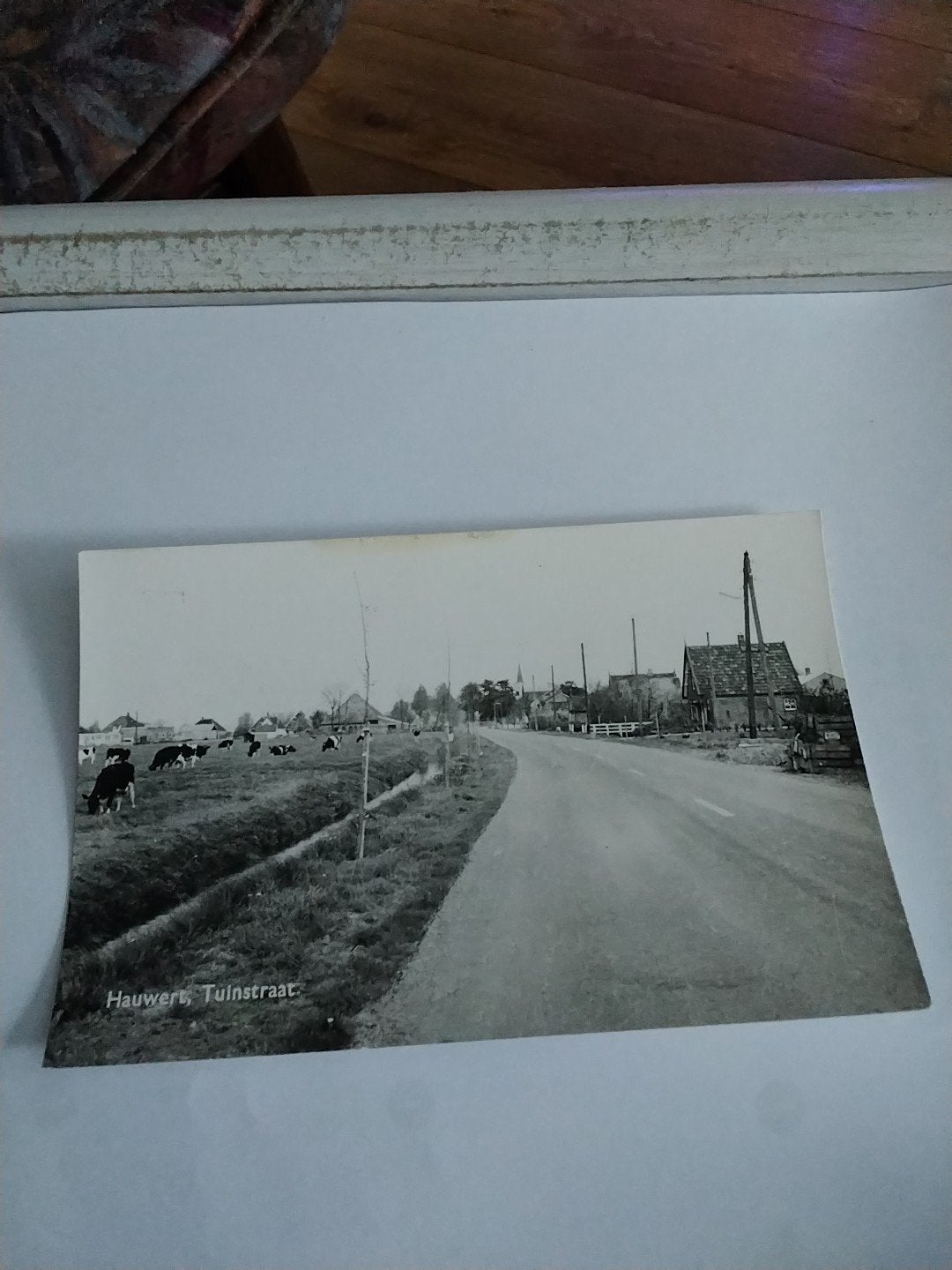 Oude Ansichtkaart Hauwert, Tuinstraat met koeien, Ophalen of Verzenden, Voor 1920, Ongelopen, Noord-Holland