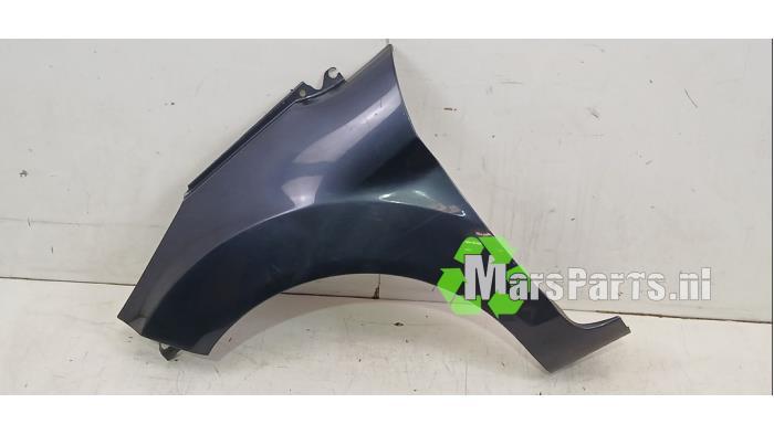 Scherm links-voor van een Ford Fiesta