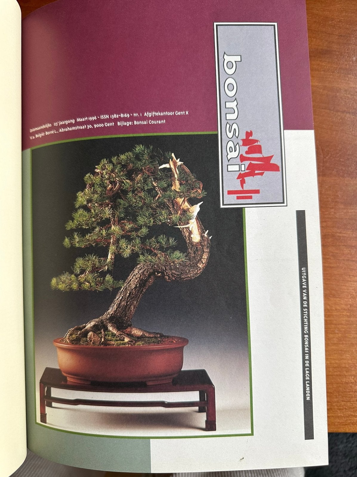 Bonsai in de lage landen ingebonden 1996, Ophalen of Verzenden, Gelezen, Sport en Vrije tijd