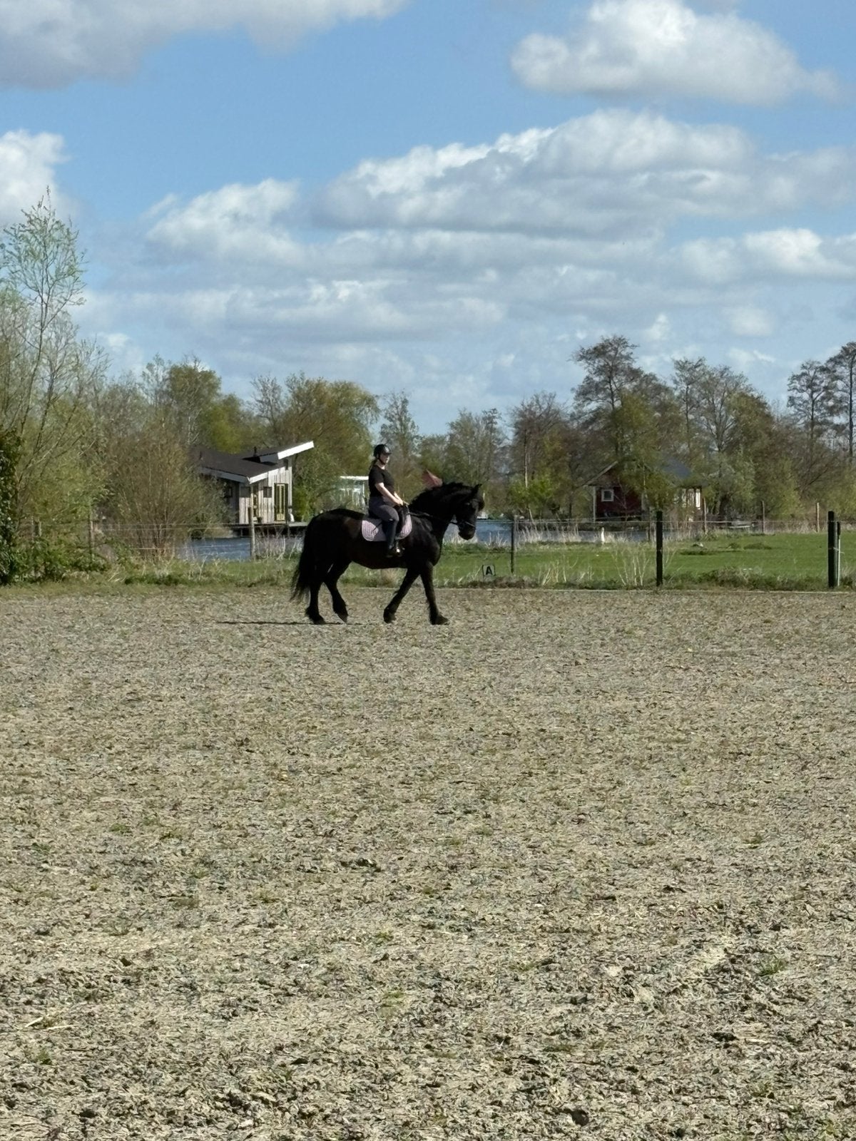 Verzorg paard/pony gezocht, Ophalen of Verzenden, Nieuw