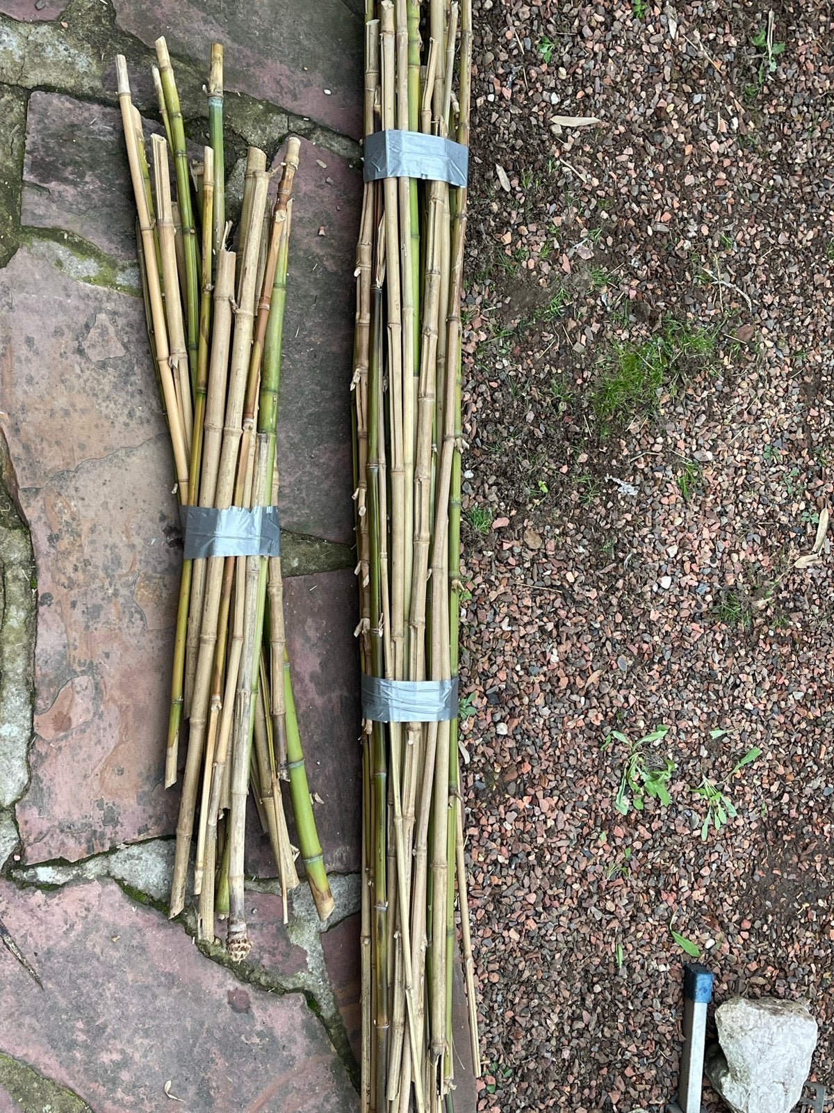 Bamboe stokken voor tuin of decoratie, Ophalen of Verzenden, Gebruikt, 180 tot 250 cm, Overige typen