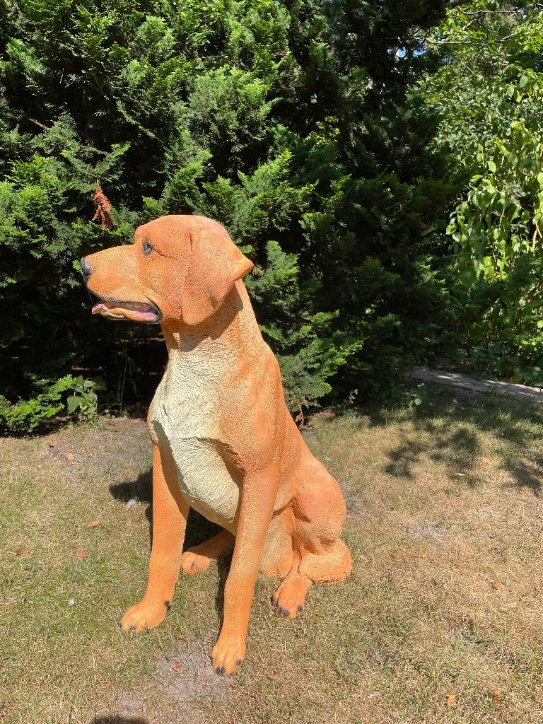 Jachthond labrador Retriever, dieren, tuin, vijver  80cm, Tuin en Terras, Ophalen, Nieuw, Kunststof, Dierenbeeld