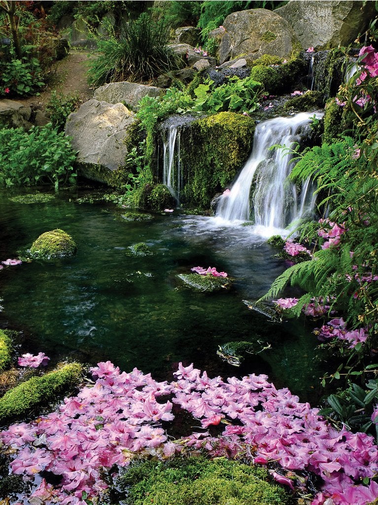 Tuinposter 180 x 135 cm (h x br.), Verzenden, Nieuw