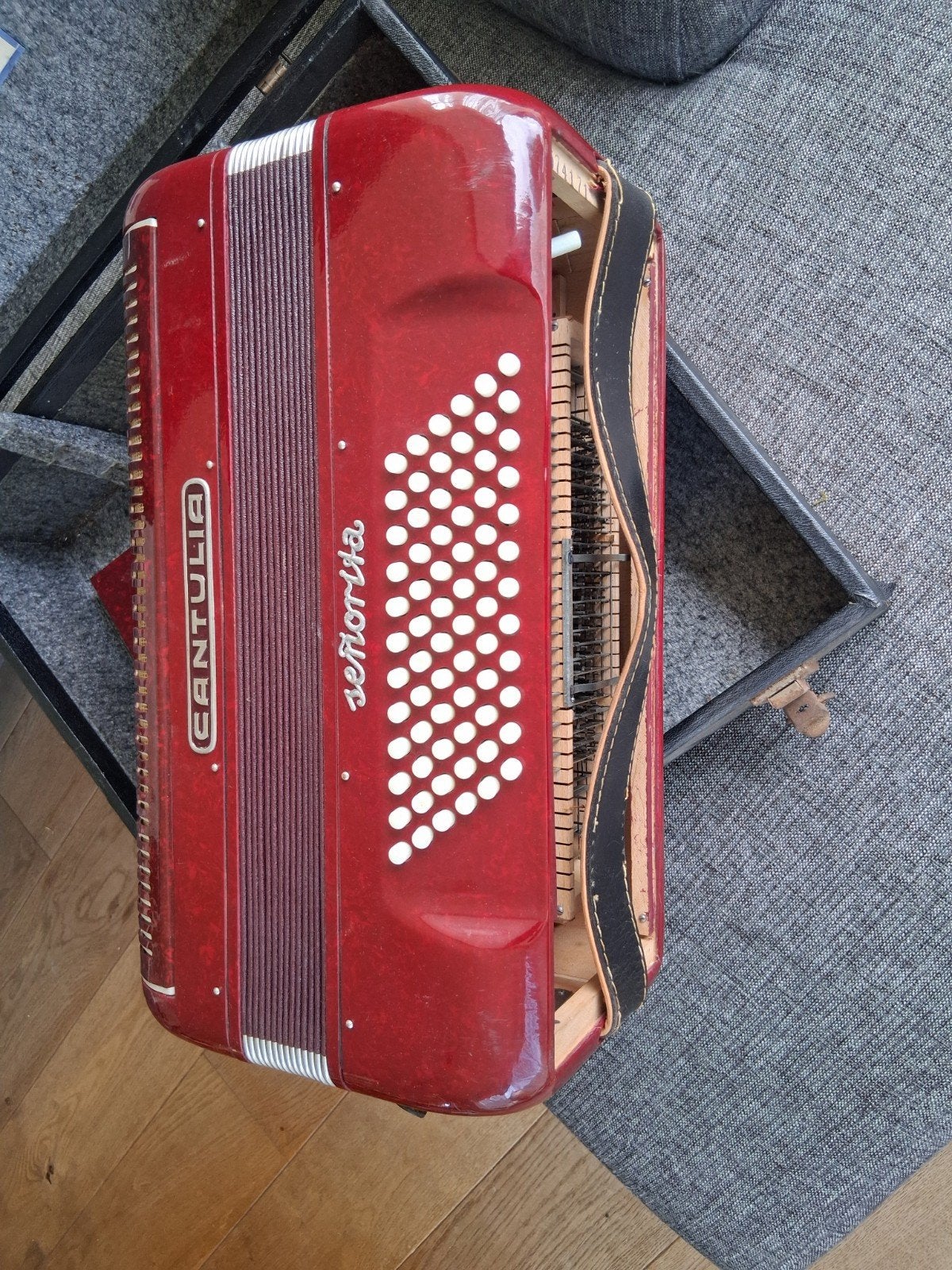Antieke Canulia accordeon, Ophalen, Gebruikt, Overige merken, Met koffer