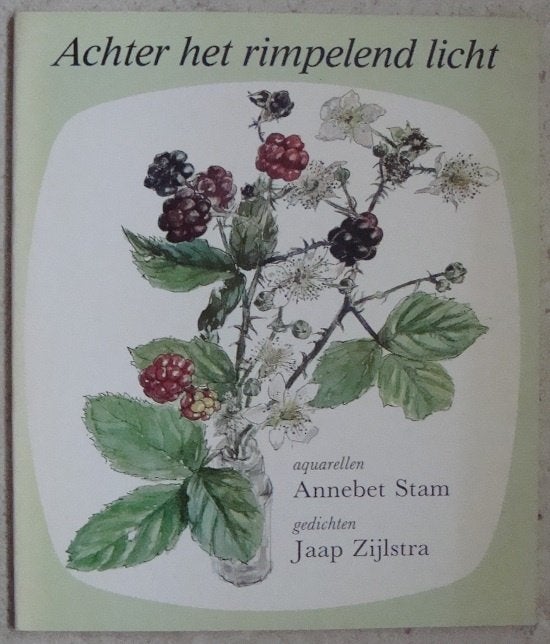 Achter het rimpelend licht - Annebet Stam & Jaap Zijlstra, Annebet Stam & Jaap Zijlstra, Ophalen of Verzenden, Zo goed als nieuw