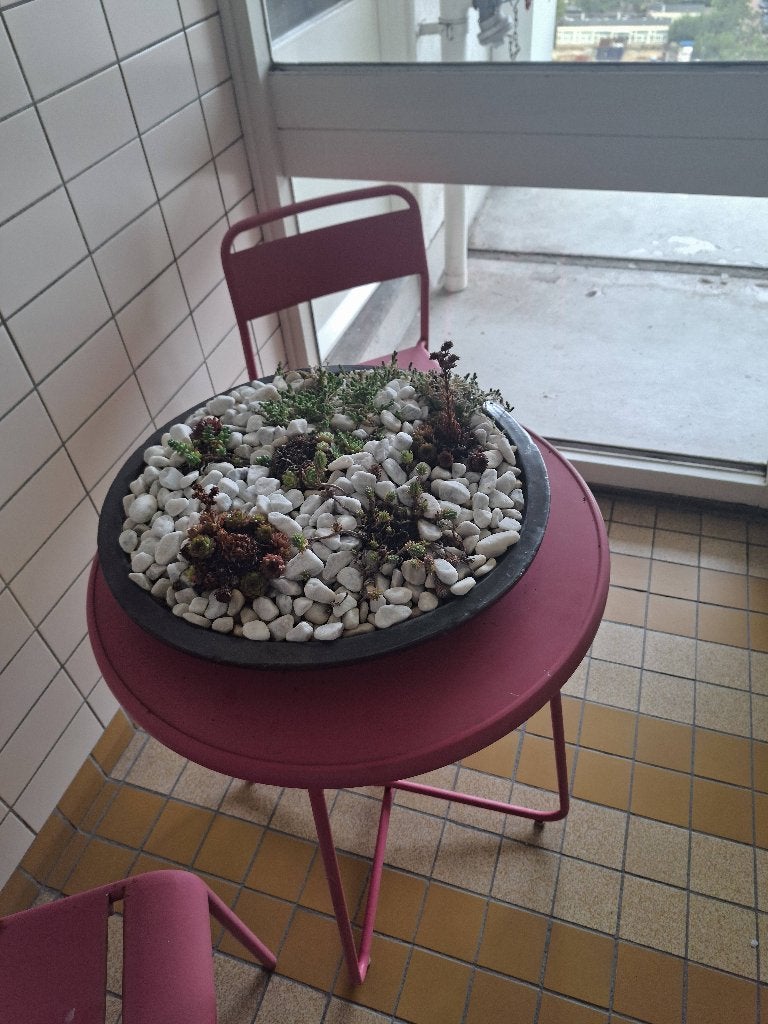 Balkonsetje roze met plantenbak en planten, Overige materialen, Gebruikt, Bijzettafel, Tuinset