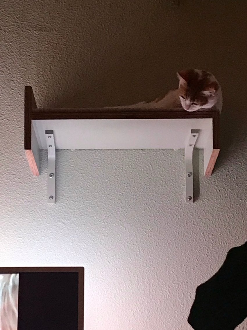 Plankjes voor aan de muur (voor kat), Ophalen, Zo goed als nieuw