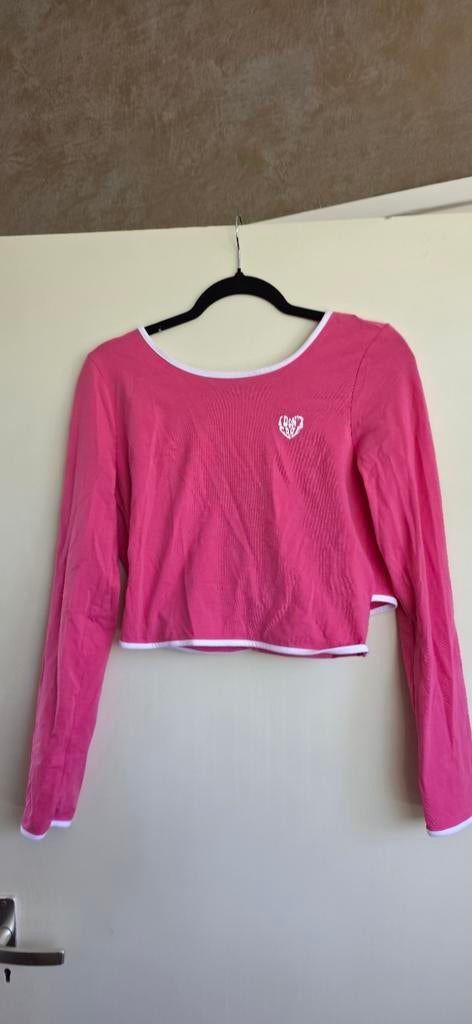 Leuk roze truitje van Amy & Ivy, maat L, Maat 42/44 (L), Nieuw, Ophalen of Verzenden, Amy & Ivy