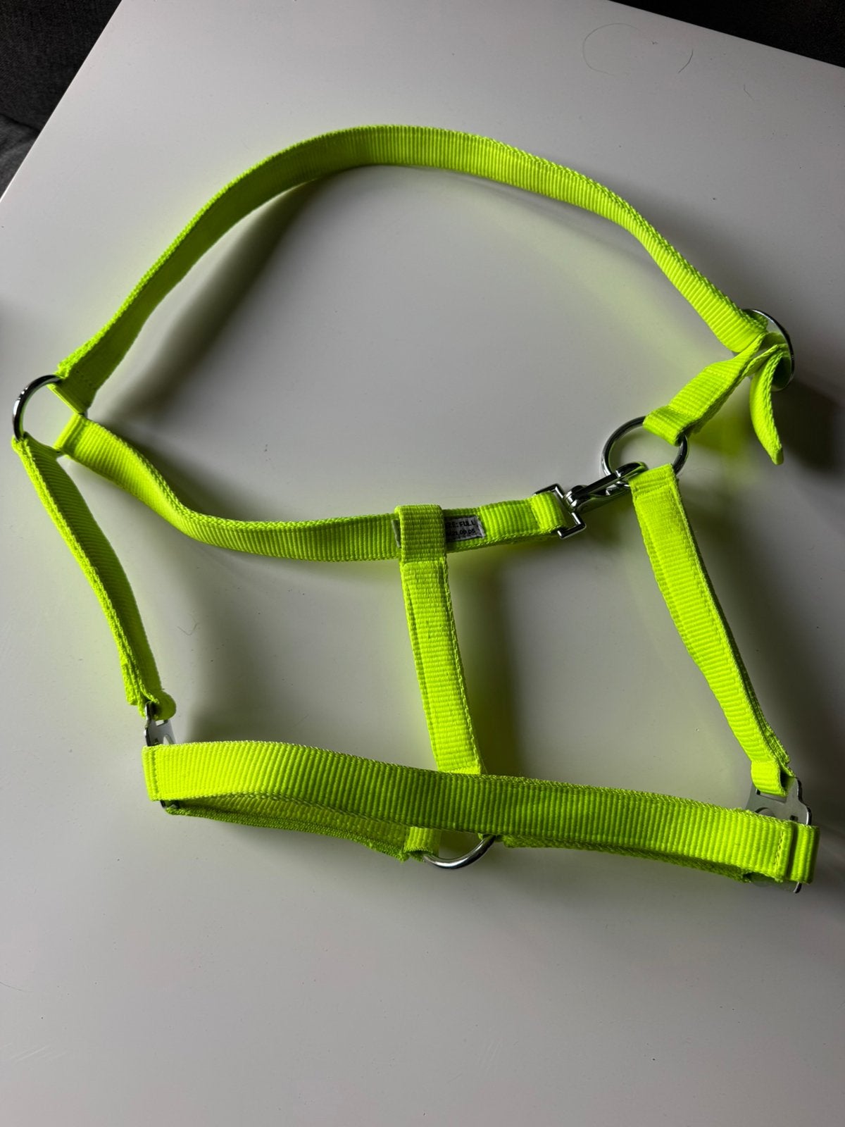 Nieuw neon geel halstwr maat full, Ophalen of Verzenden, Nieuw, Dressuur