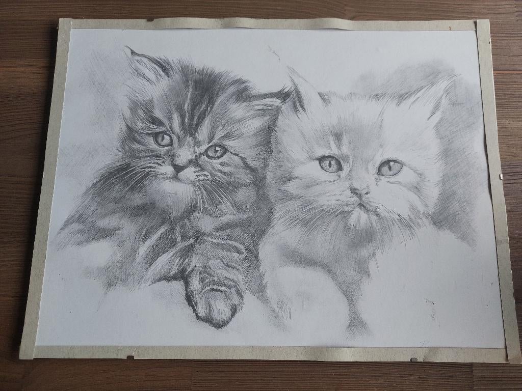 Mooie zeldzame Vintage Poezen Potlood Houtskool Tekening, Antiek en Kunst, Kunst | Tekeningen en Foto's, Verzenden