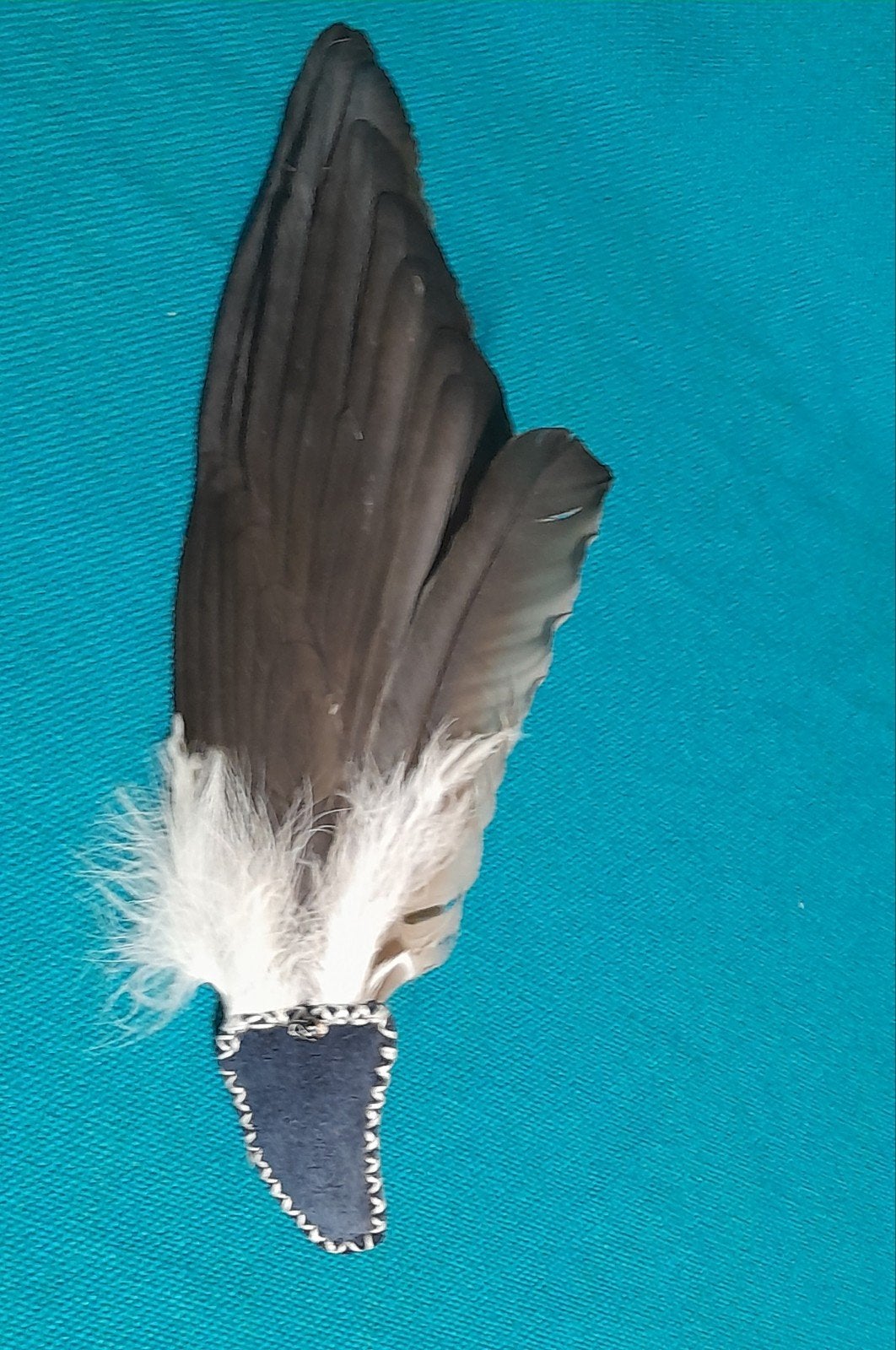 Mooie smudge vleugel van Reiger, Verzamelen, Ophalen of Verzenden, Nieuw, Vogel, Overige typen