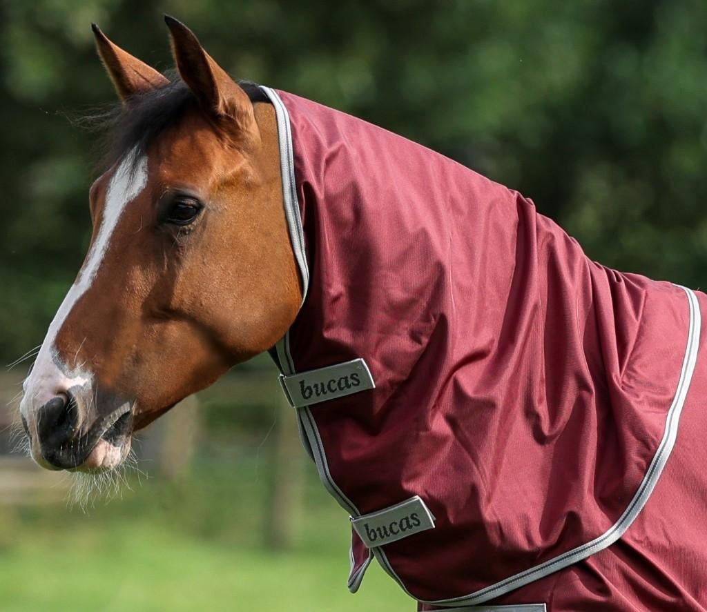 Bucas Atlantic Exclusive Wine Combi Neck L & XXL, Dieren en Toebehoren, Ophalen of Verzenden, Nieuw, Deken