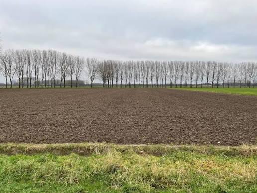 Gezocht landbouw grond reusel de mierden, Ophalen of Verzenden, Tot 1 ha, Akkerbouwbedrijf