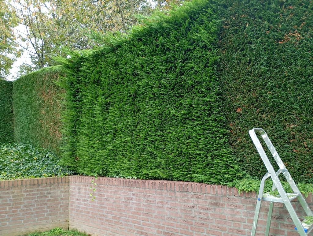 RB Huis- en Tuininrichting