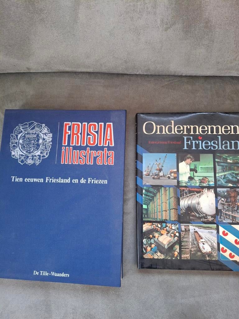 Frisia Illustrata & Ondernemen Friesland Boeken, Boeken, Ophalen of Verzenden, Zo goed als nieuw, Diverse, Friesland