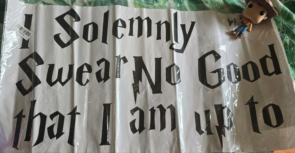NIEUW Harry Potter muursticker: I solemnly swear that I am.., Ophalen of Verzenden, Nieuw
