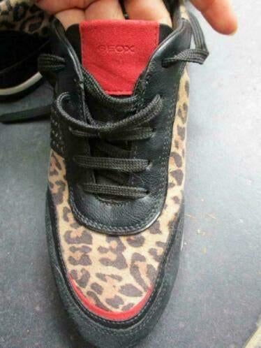Geox size 38, Geox, Overige kleuren, Verzenden, Sneakers of Gympen