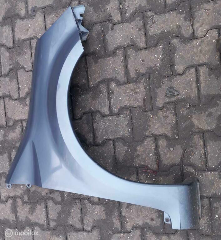 Spatscherm Renault Modus, Ophalen of Verzenden, Gebruikt