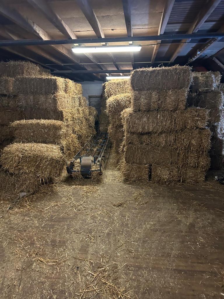 Kleine pakjes hooi en stro te koop, Dieren en Toebehoren, Ophalen, Overige soorten
