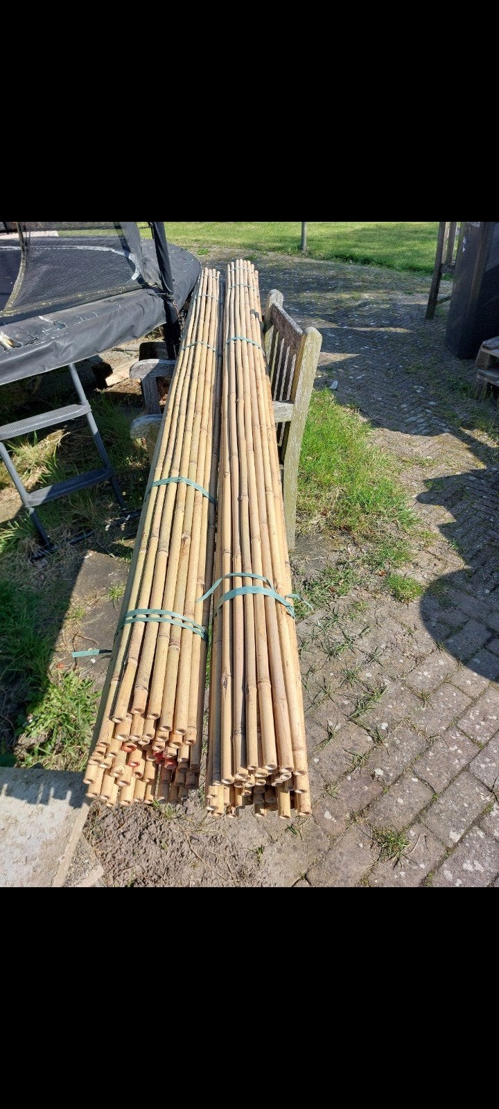 Bamboestokken,  bonenstaken,  tonkinstokken,, Tuin en Terras, Palen, Balken en Planken, Ophalen, Nieuw, 250 cm of meer, Palen