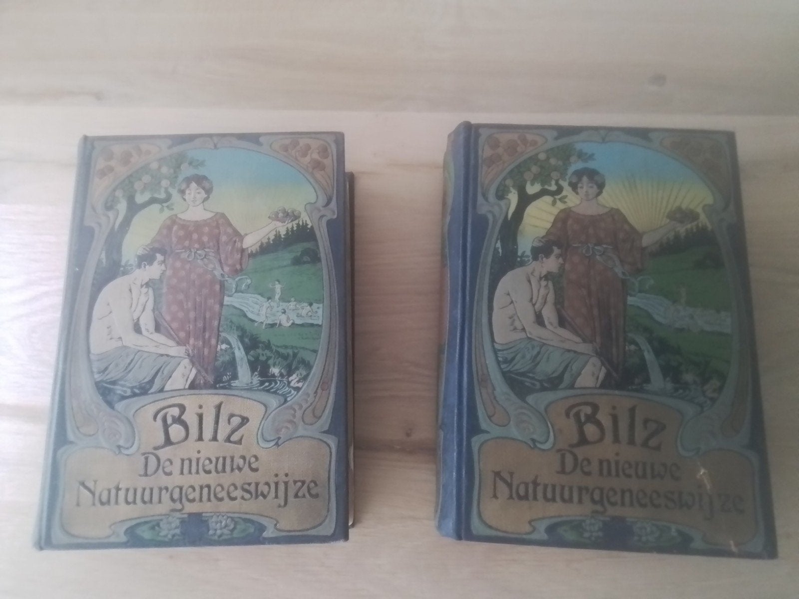 2 antieke boeken, Bilz, de nieuwe natuurgeneeswijze, Ophalen of Verzenden
