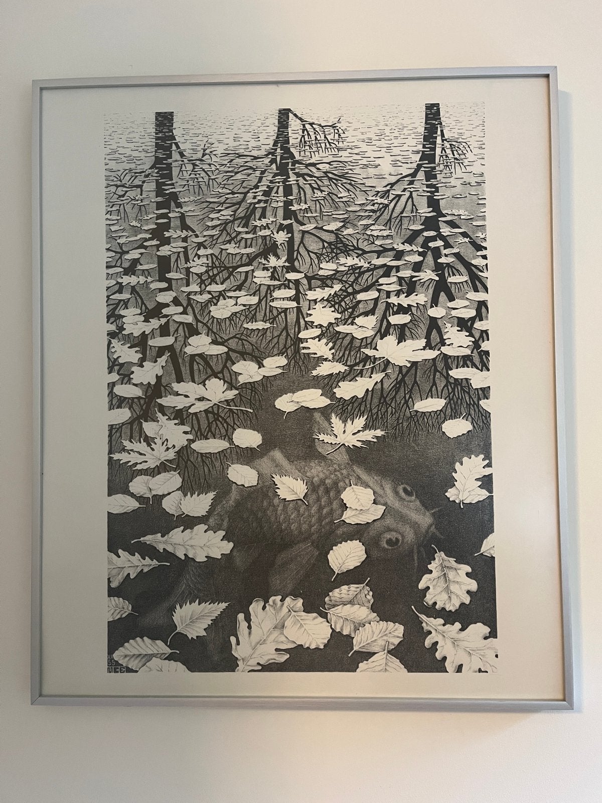 E4/MC Escher Drie Werelden reproductie, Antiek en Kunst, Ophalen, Reproductie, Print/reproductie, Achter glas