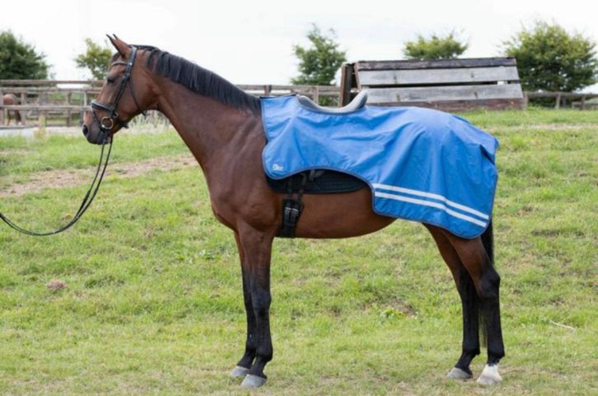 Harry’s horse uitrijdeken waterdicht  nieuw  maat xl, Dieren en Toebehoren, Ophalen of Verzenden, Nieuw