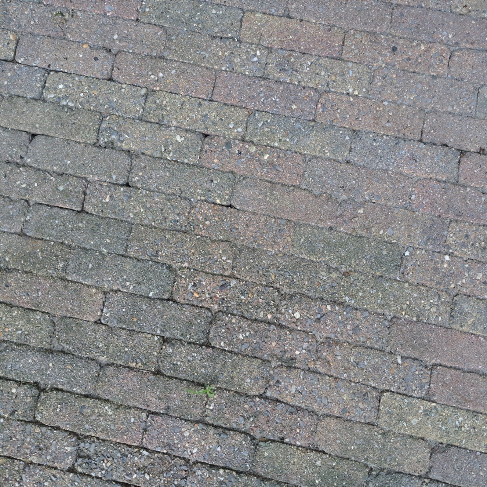 Gratis op te halen, Tuin en Terras, Ophalen of Verzenden, 10 m² of meer, Klinkers