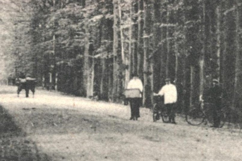 988139 De Steeg Ellecom Gld Middachterallee Nette oude kaart, Ophalen of Verzenden, 1920 tot 1940, Ongelopen, Gelderland