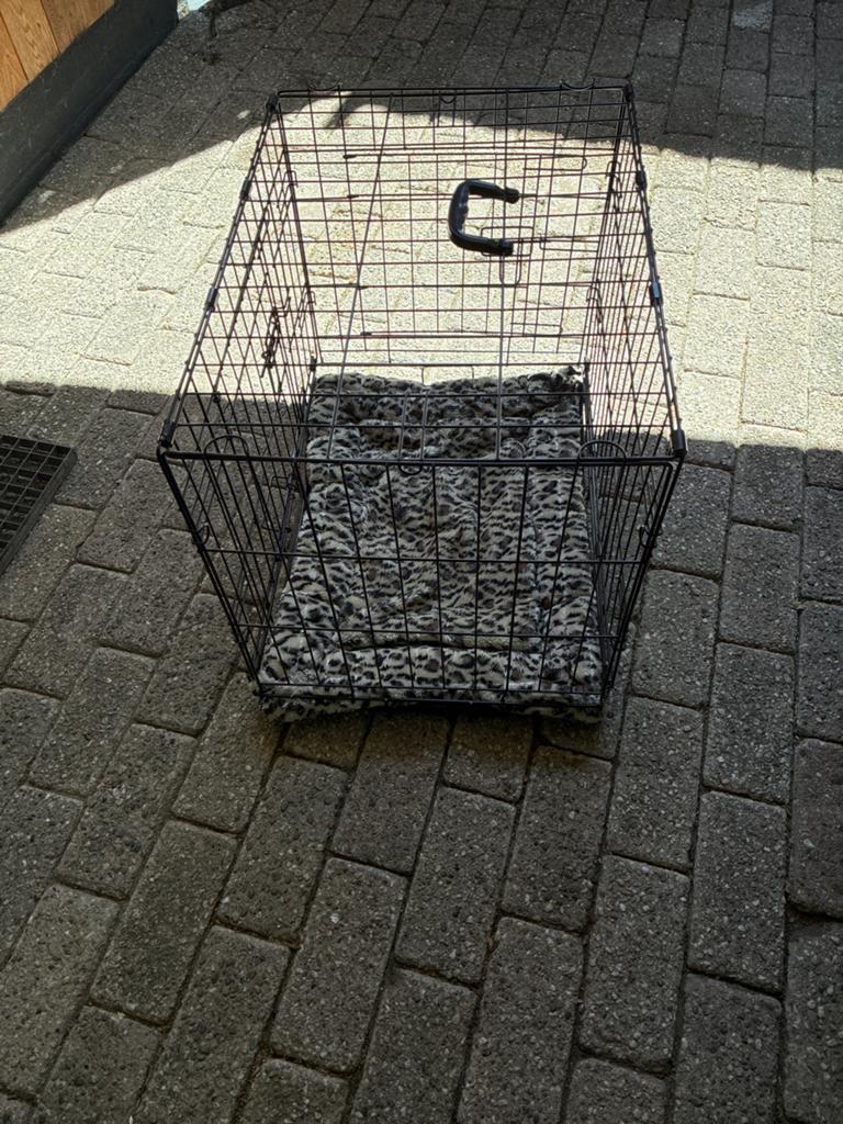 Bench, Dieren en Toebehoren, Ophalen of Verzenden, Zo goed als nieuw