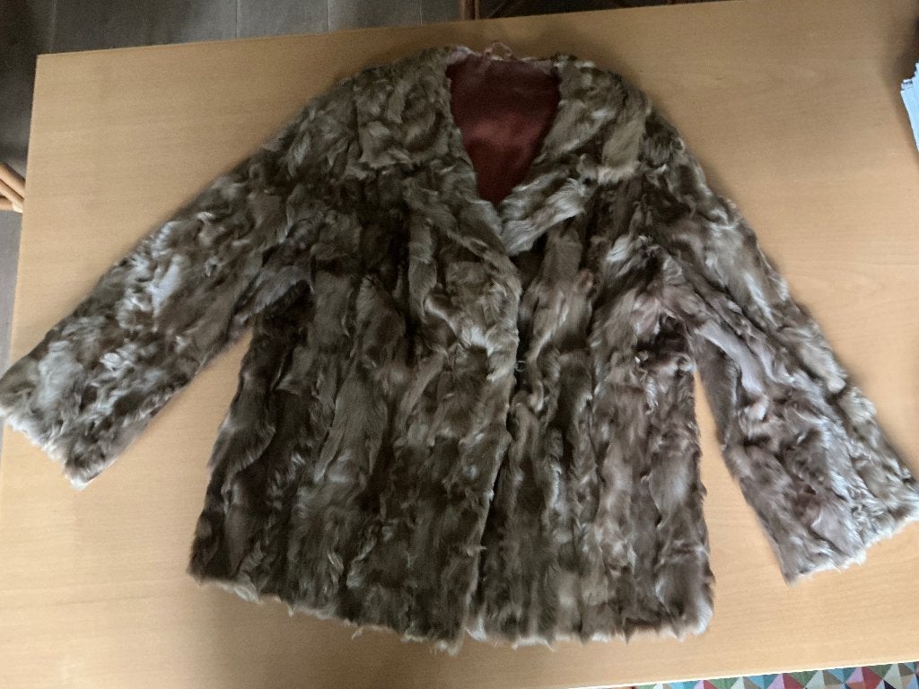 Bontjasje dames, Maat 38/40 (M), Beige, Ophalen of Verzenden, Onbekend