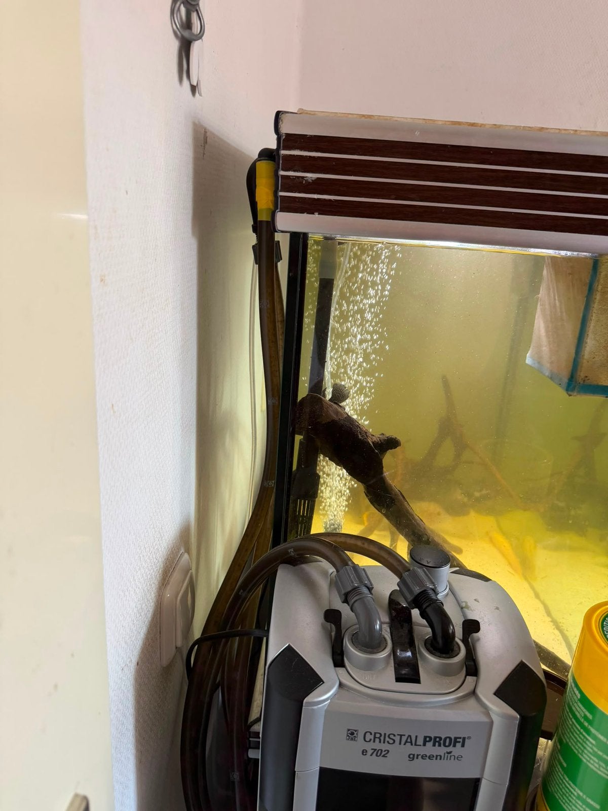 Cristalprofi greenline e702, Ophalen, Zo goed als nieuw, Leeg aquarium