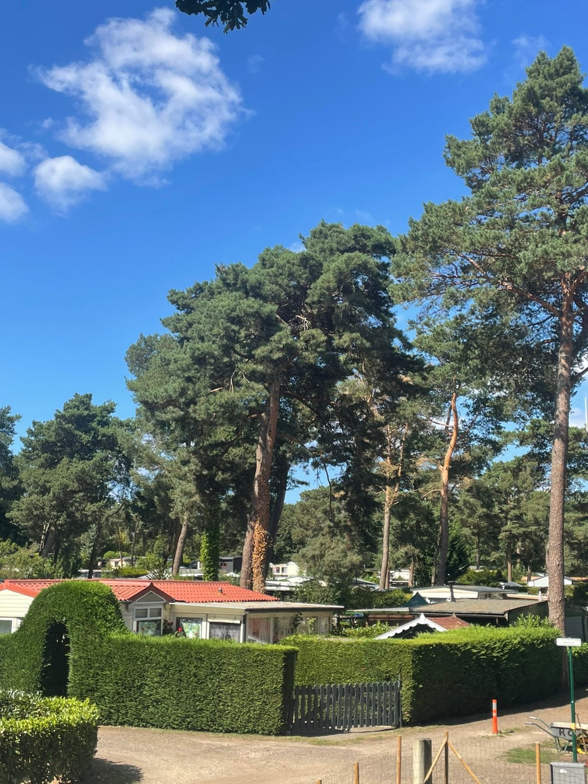 Stacaravan im Nationalpark Maasduinen/NL Camping Roland, Vakantie, Campings, Tv, In bos, Recreatiepark