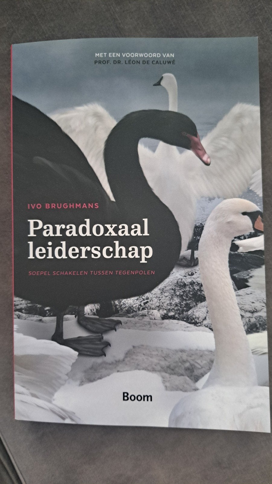 Ivo Brughmans - Paradoxaal leiderschap, Sociale wetenschap, Nieuw, Ophalen of Verzenden, Ivo Brughmans