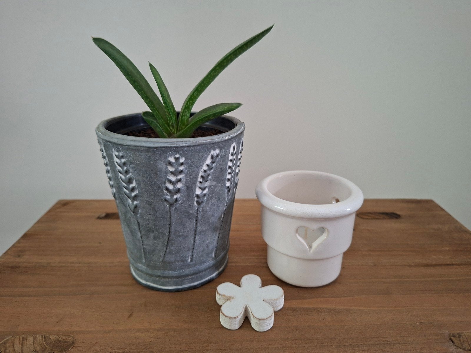 Gasteria plant in zinken potje en vintage waxinelichthouder., Ophalen, Rond, Binnen, Aardewerk