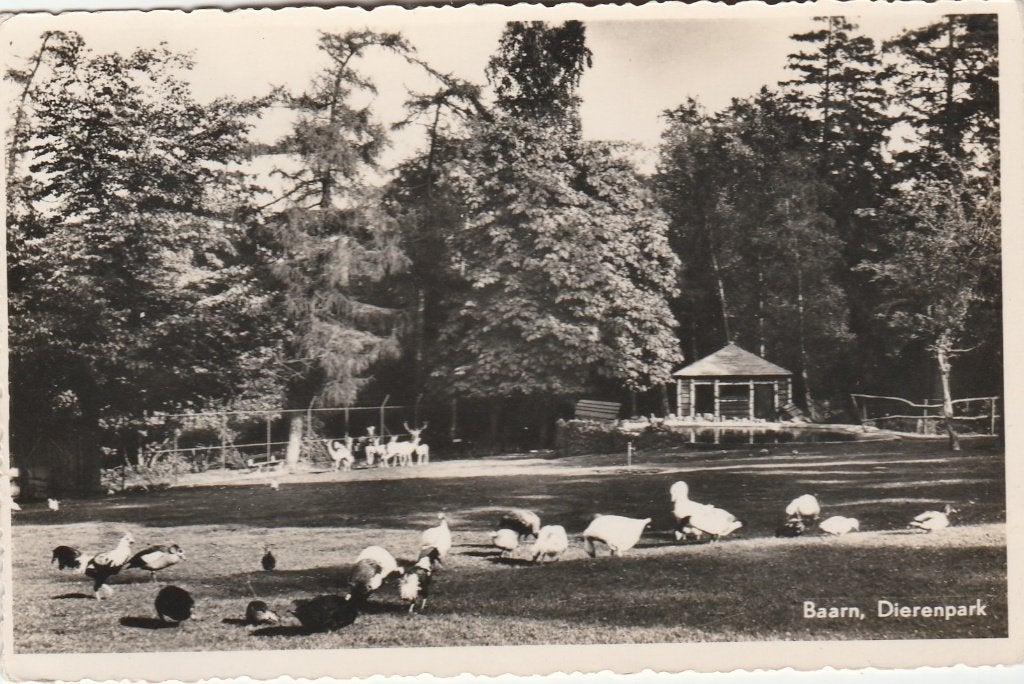 baarn- dierenpark, Verzamelen, Ophalen of Verzenden, Voor 1920, Utrecht