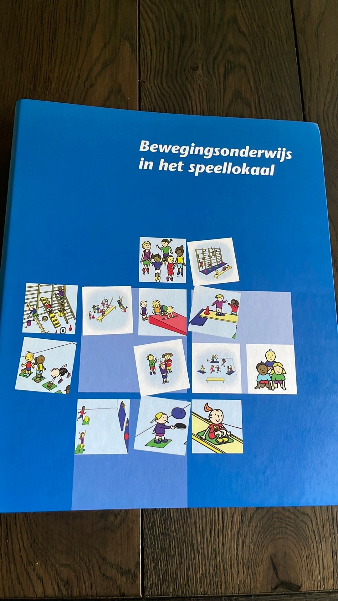 Bewegingsonderwijs in het speellokaal, Ophalen of Verzenden, Beta, Gelezen, HBO