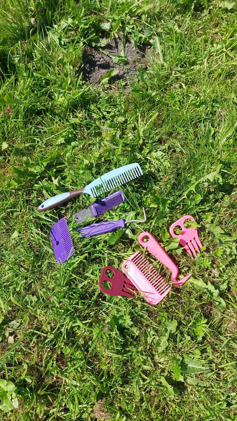 mannen kammen voor pony's, paarden, shetlander,  hobby horse, Overige merken, Ophalen of Verzenden, Gebruikt, Borstel