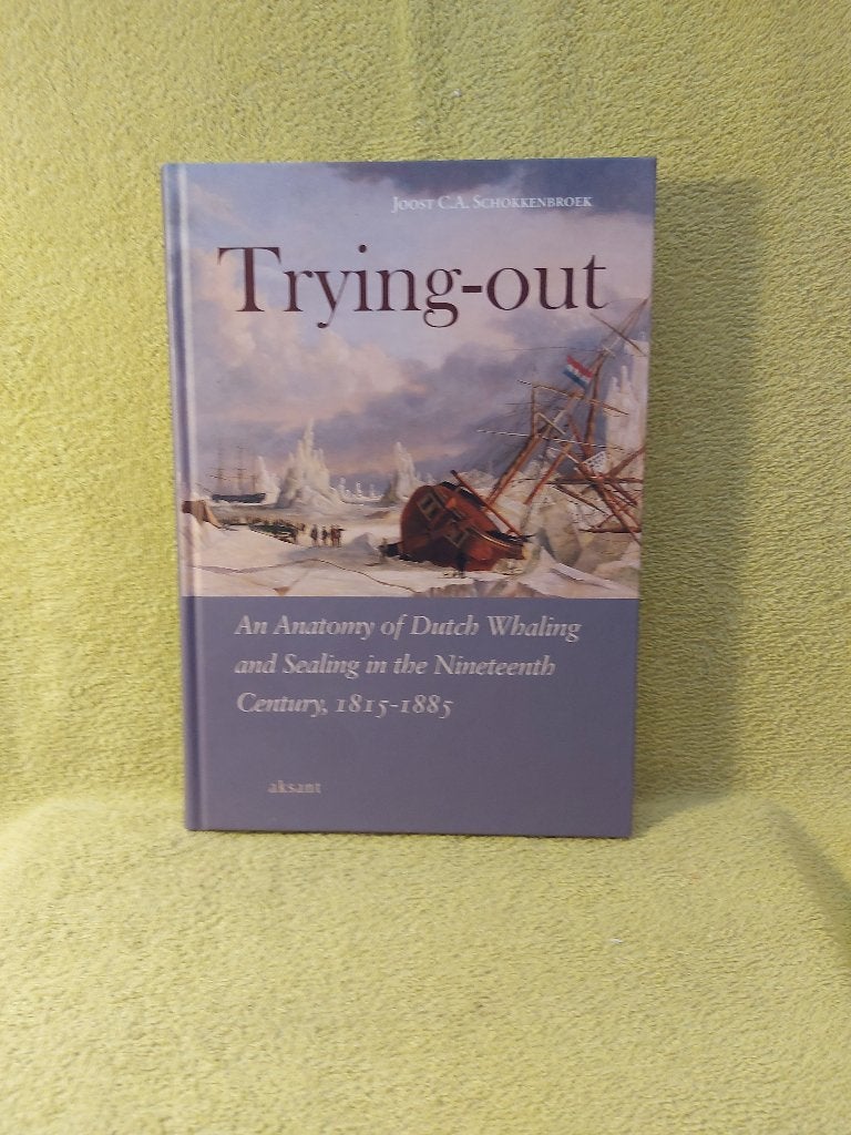 Trying-Out - Joost Schokkenbroek., Ophalen of Verzenden, Zo goed als nieuw