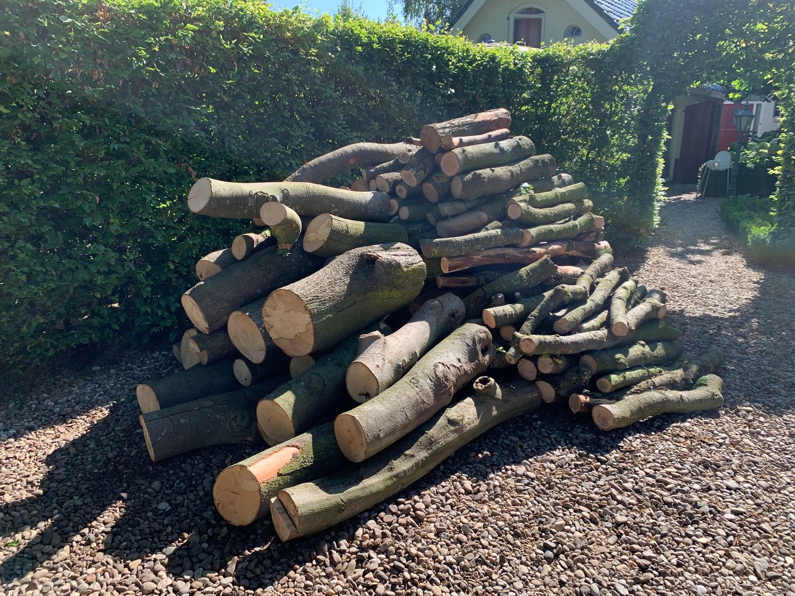Haardhout stammen beuk zomereik amerikaanse eik acacia, Tuin en Terras, Haardhout, 3 tot 6 m³, Ophalen, Beukenhout, Stammen