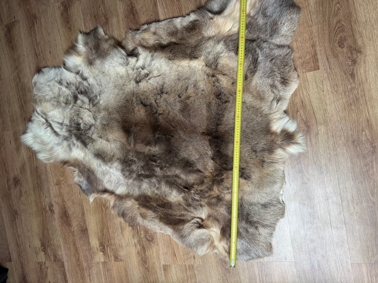 2x prachtige rendierhuiden, Ophalen, Zo goed als nieuw, Rond, 50 tot 100 cm