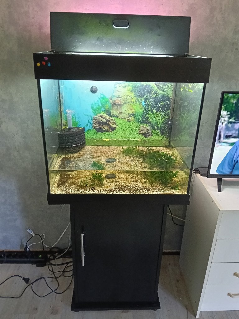 Aquarium met meubel en toebehoren 130L, Ophalen, Inclusief deksel, Gebruikt, Gevuld zoetwateraquarium