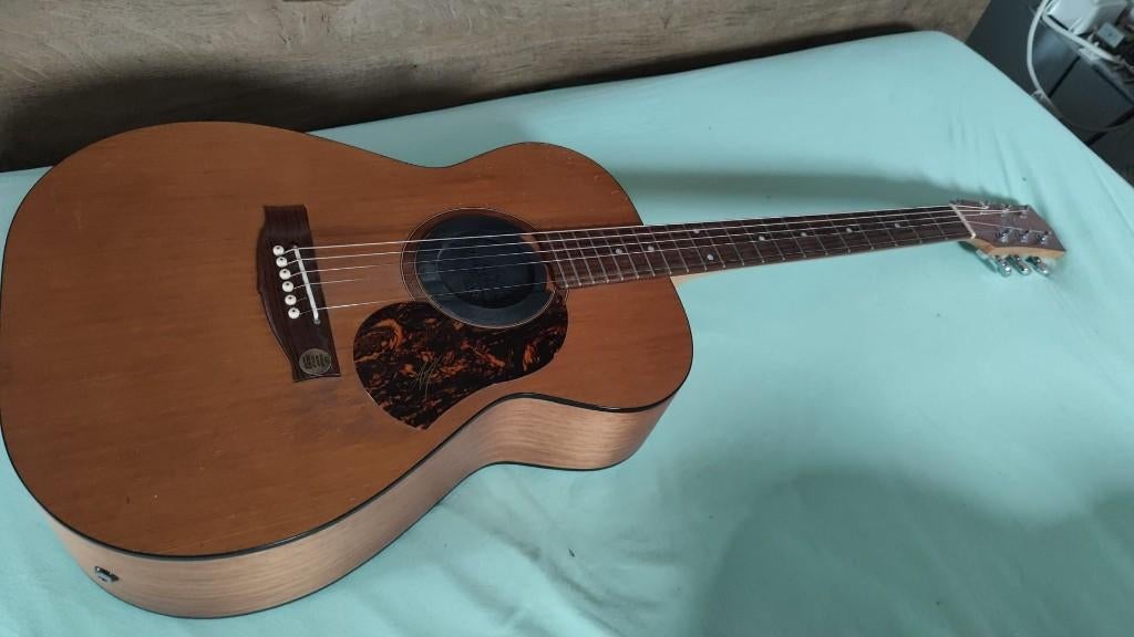 Gitaar Tommy Emmanuel, Ophalen of Verzenden, Gebruikt, Western- of Steelstringgitaar, Met koffer