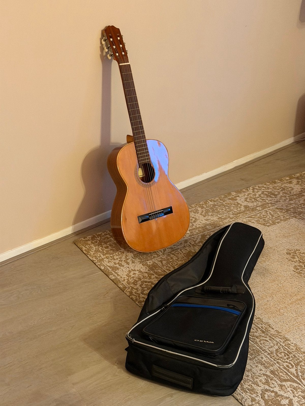 Juan Salvador Modelo 2 akoestisch gitaar met reistas, Muziek en Instrumenten, Ophalen, Zo goed als nieuw, Klassieke of Spaanse gitaar