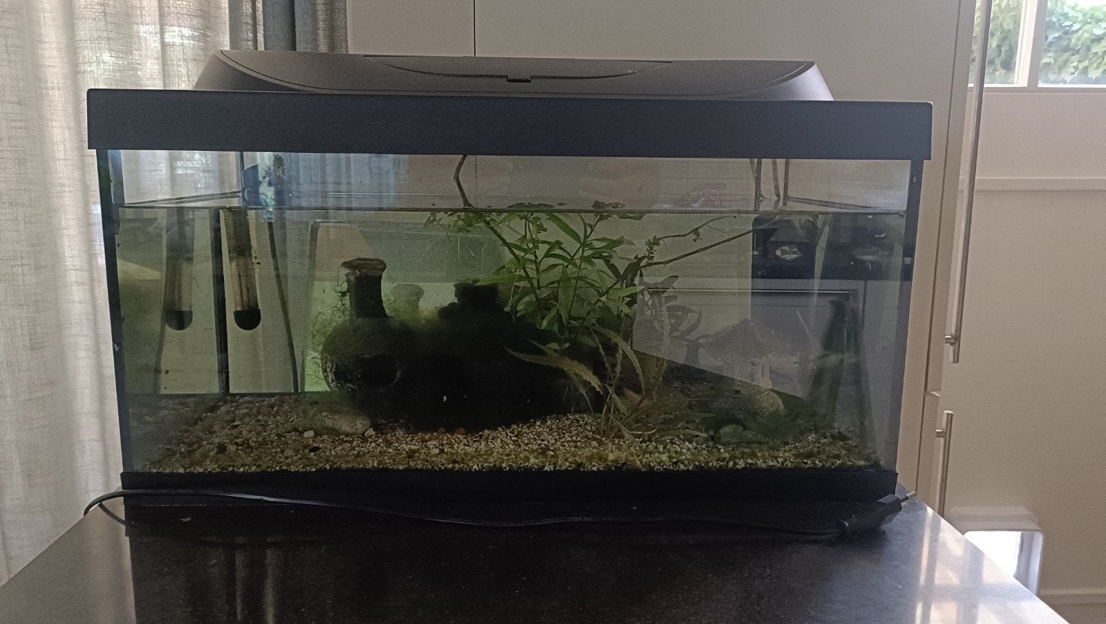 aquarium Tetra, Ophalen, Verwarming, Tetra, Gevuld zoetwateraquarium