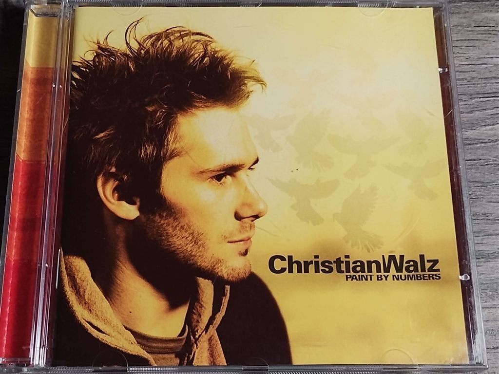Christian Walz - Paint By Numbers, Ophalen of Verzenden, Zo goed als nieuw, Pop