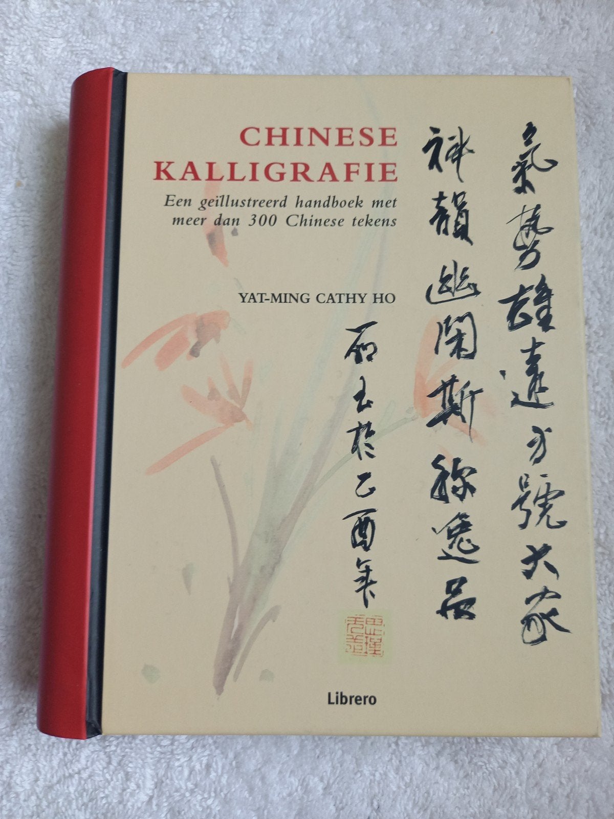 w9 Chinees Kalligrafie Boek - Leer meer dan 300 tekens, Ophalen of Verzenden, Zo goed als nieuw, Overige onderwerpen, Yat-Ming Cathy Ho