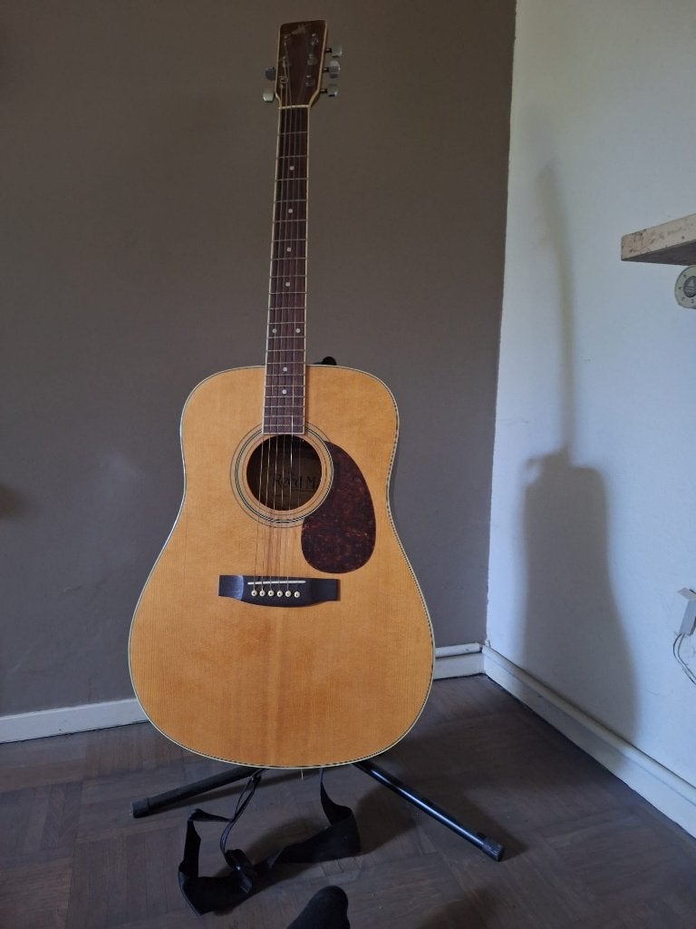 Gitaar (Western)