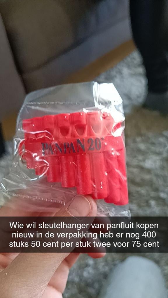 Nieuwe Panfluit Sleutelhanger - Panpan 20, Ophalen of Verzenden